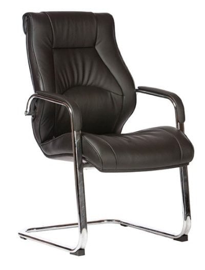 Camry Cantilver Chair