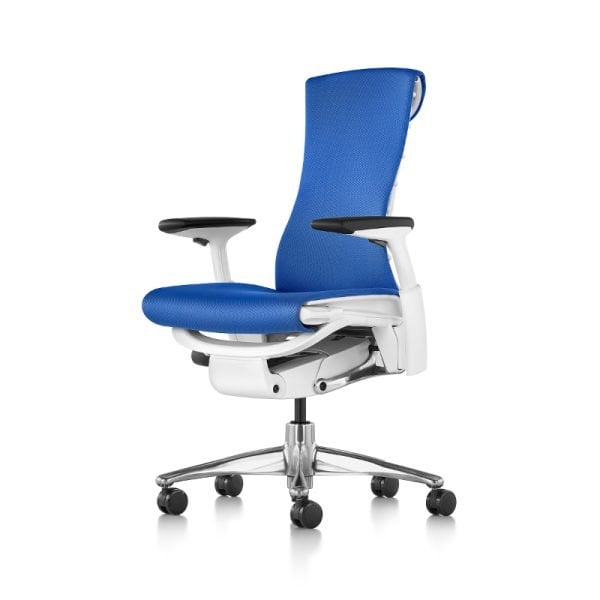 Herman Miller Embody Chair | Seated